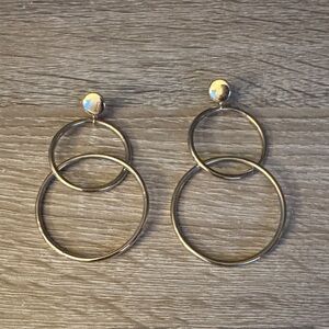 Unique and Fun Double Hoop Earring